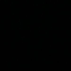 Meet your Posher, Omariontaye